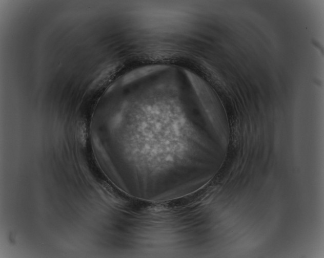 X0000093150644200710171351