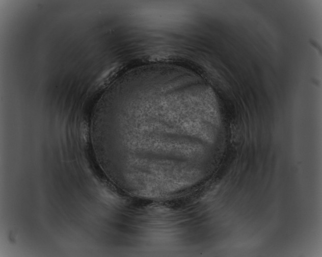 X0000093150648200710171351