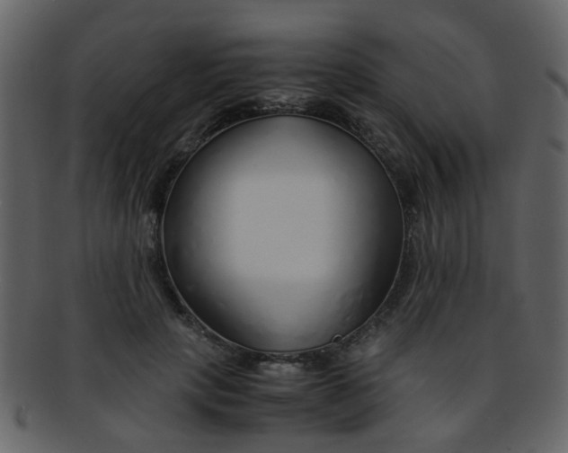 X0000093150649200710171351