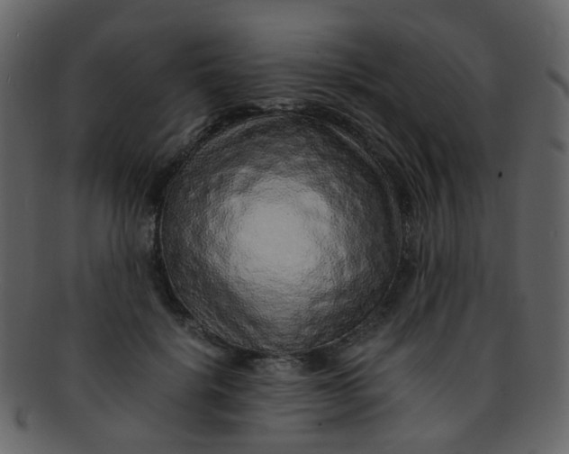 X0000093150652200710171351