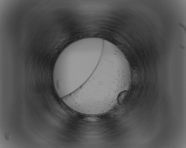 X0000093150654200710171352