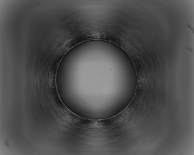 X0000093150656200710171352