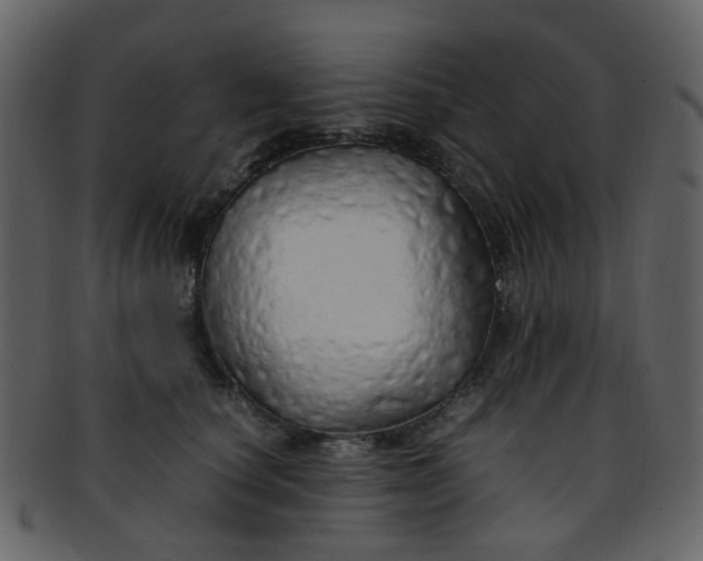 X0000093150660200710171352