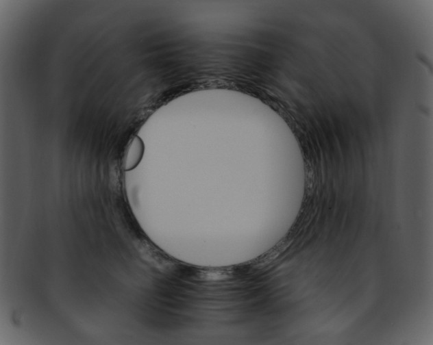 X0000093150662200710171352