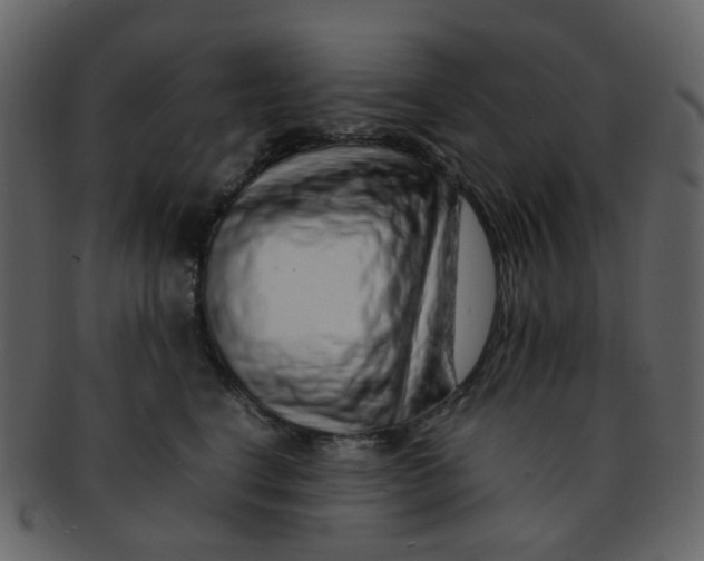 X0000093150664200710171352