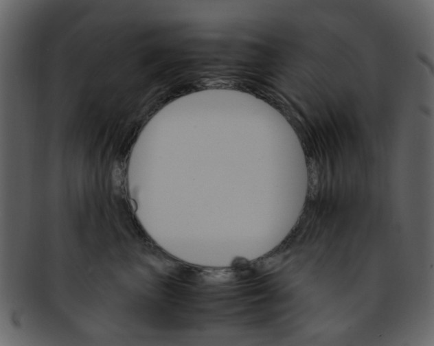 X0000093150667200710171352