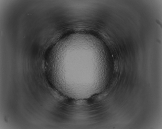 X0000093150670200710171352