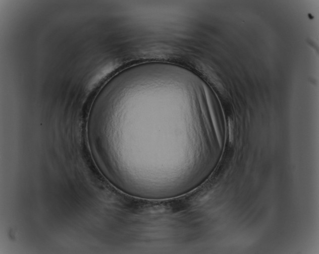 X0000093150675200710171351