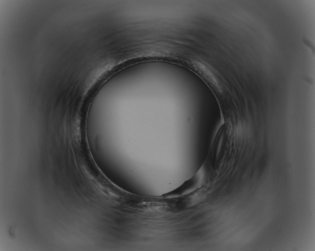 X0000093150676200710171351