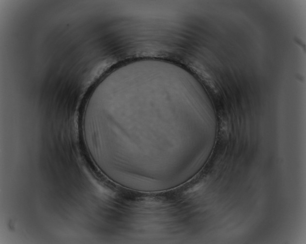 X0000093150678200710171351