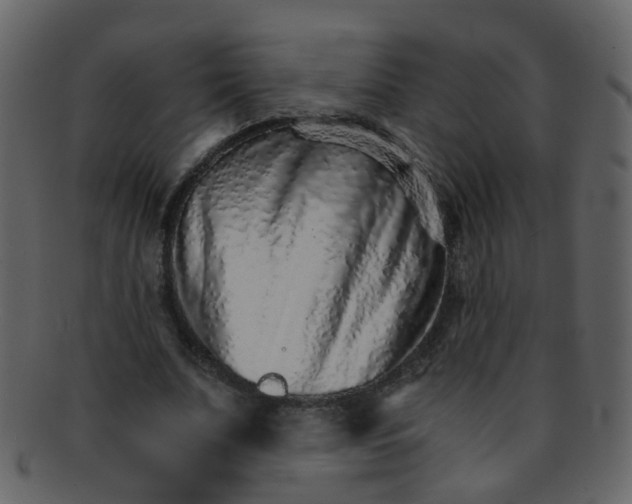 X0000093150679200710171351