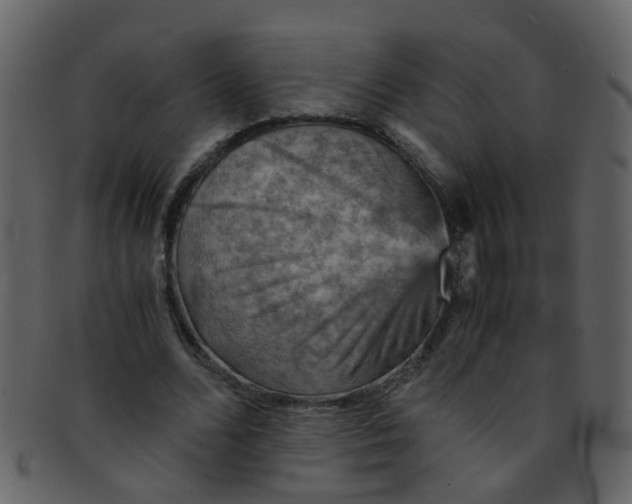 X0000093150680200710171351