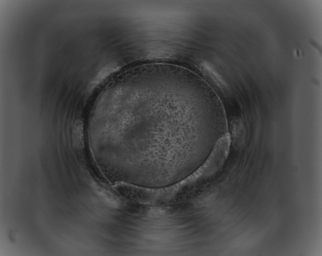 X0000093150684200710171351