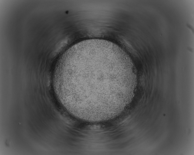 X0000093150687200710171351