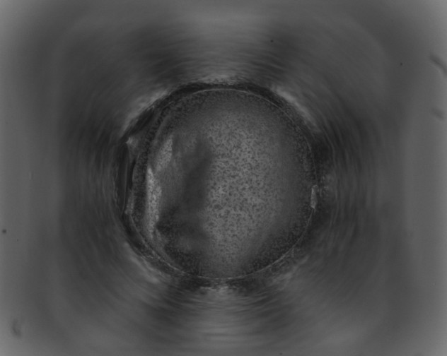 X0000093150688200710171351