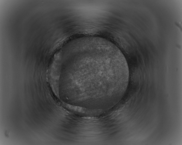 X0000093150689200710171351