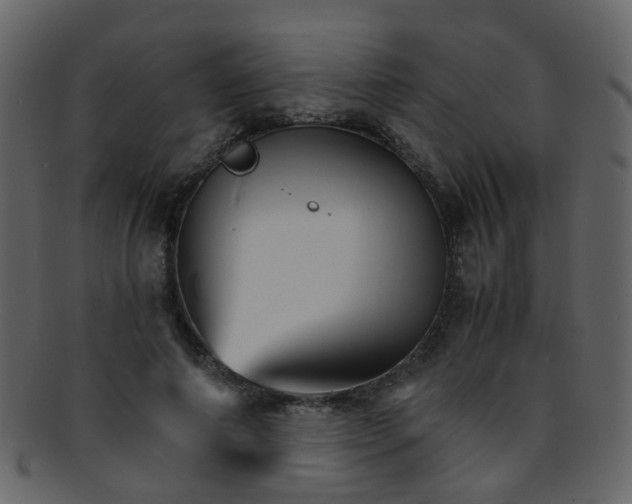 X0000093150690200710171351