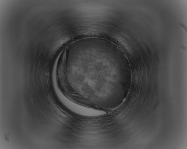 X0000093150692200710171351