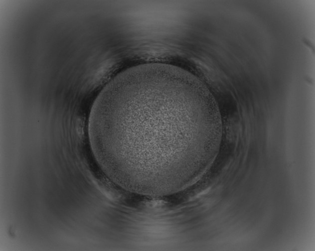 X0000093150695200710171351