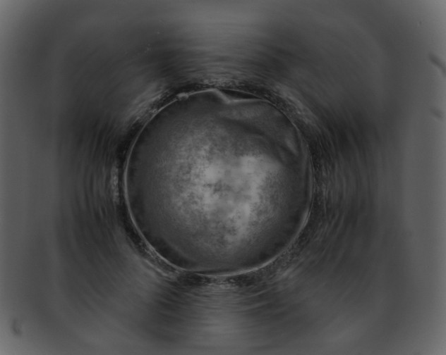 X0000093150696200710171351