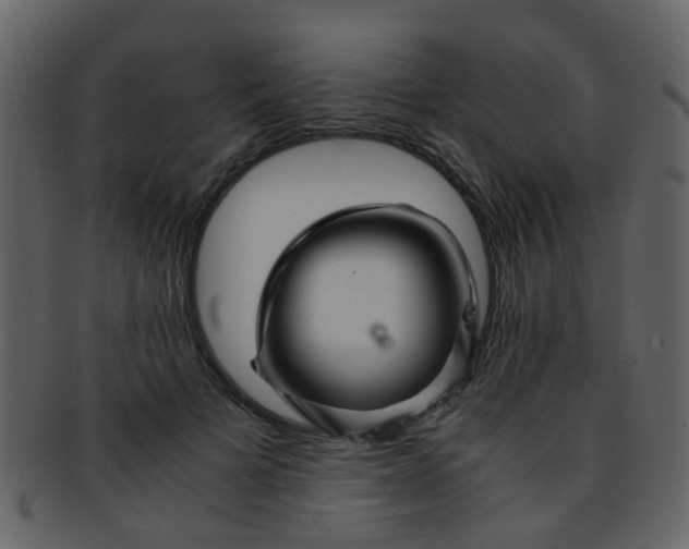 X0000093150697200710171351