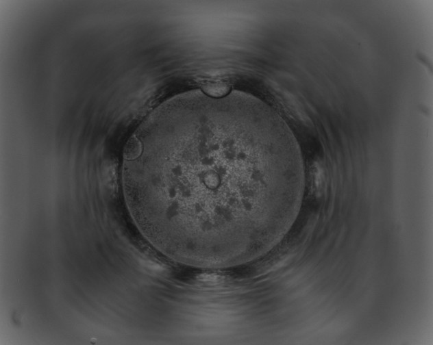 X0000093150699200710171351