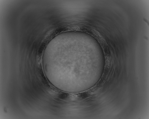 X0000093150701200710171351