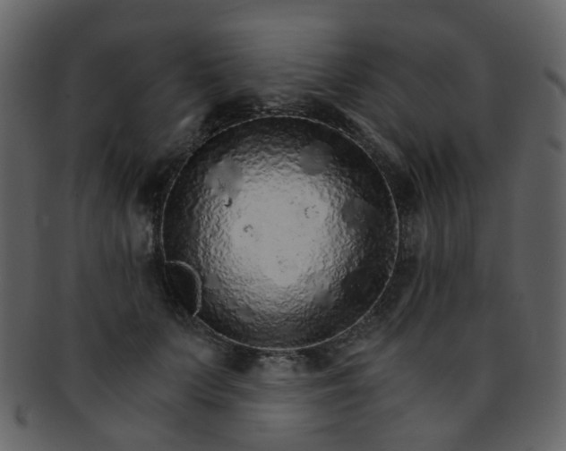 X0000093150703200710171351