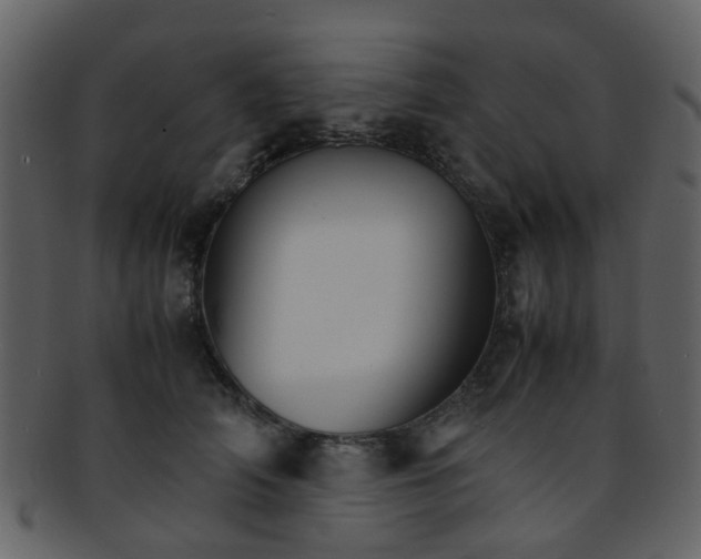 X0000093150706200710171351