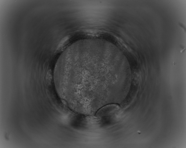 X0000093150707200710171351