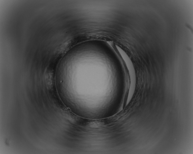 X0000093150708200710171351