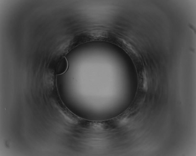 X0000093150710200710171351