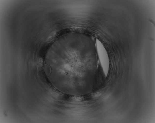 X0000093150711200710171351