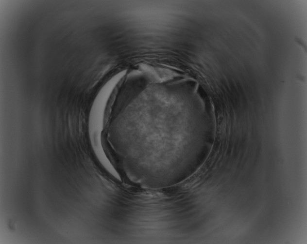 X0000093150712200710171351