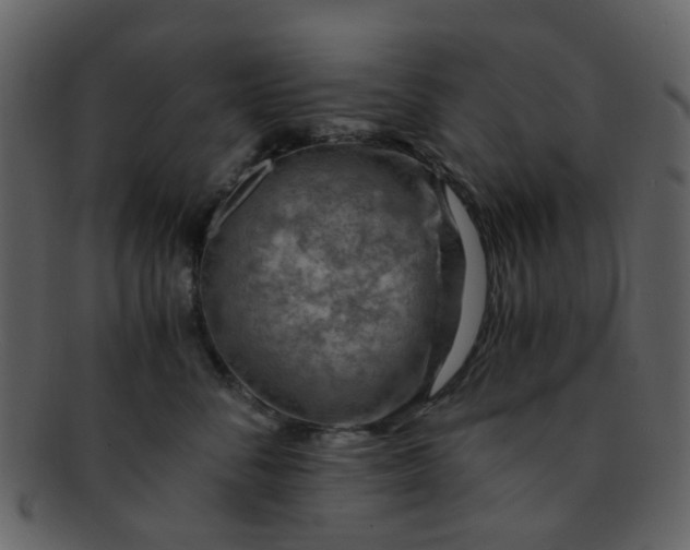 X0000093150716200710171351