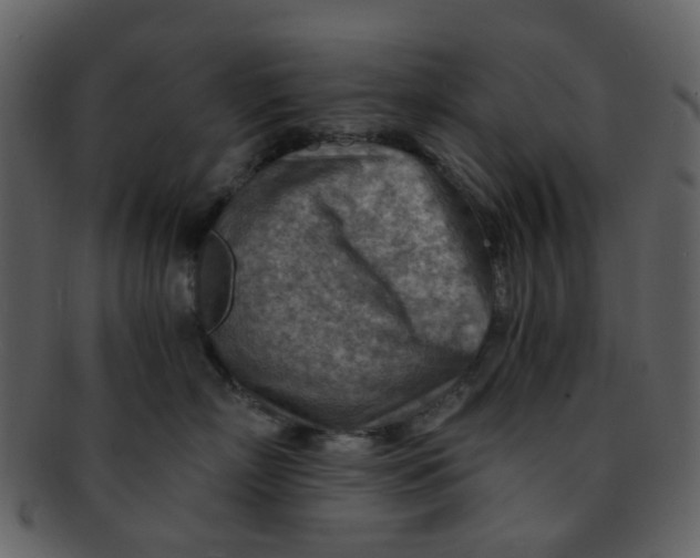 X0000093150718200710171350