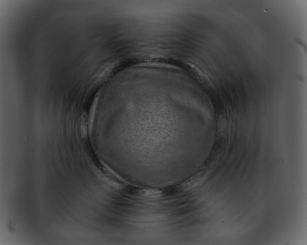 X0000093150719200710171350