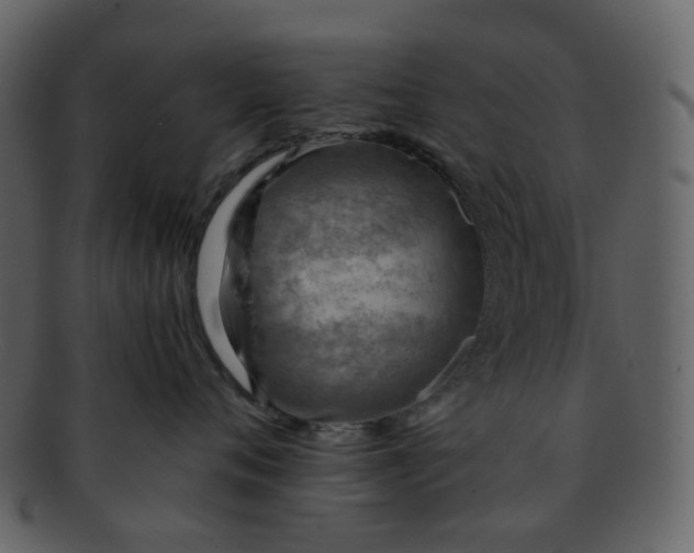 X0000093150720200710171350