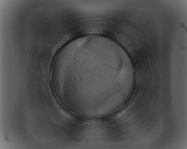 X0000093150721200710171350