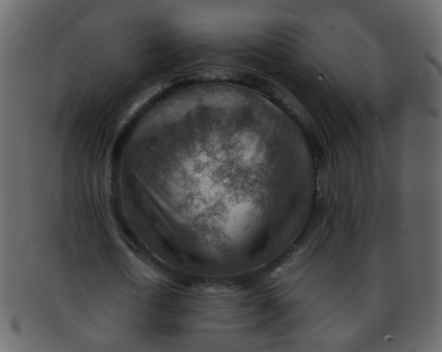 X0000093150722200710171350