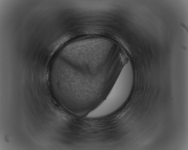 X0000093150723200710171350