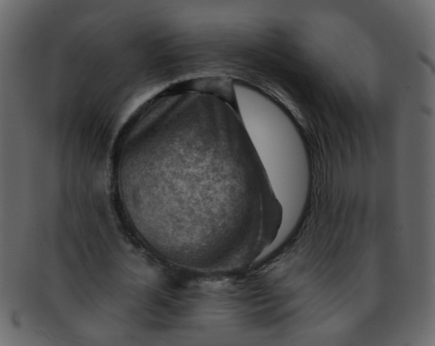 X0000093150724200710171350