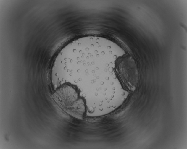 X0000093150725200710171350