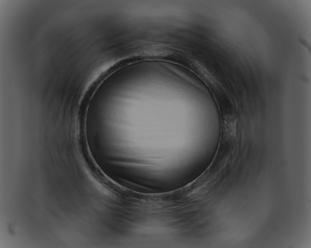 X0000093150726200710171350