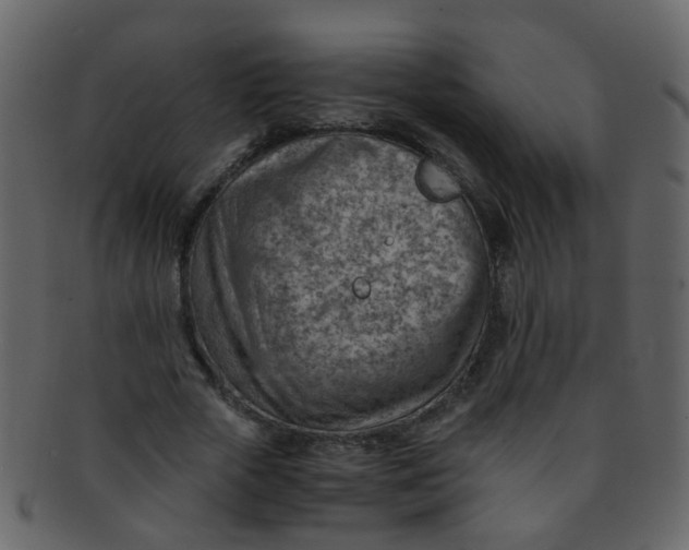 X0000093150729200710171350