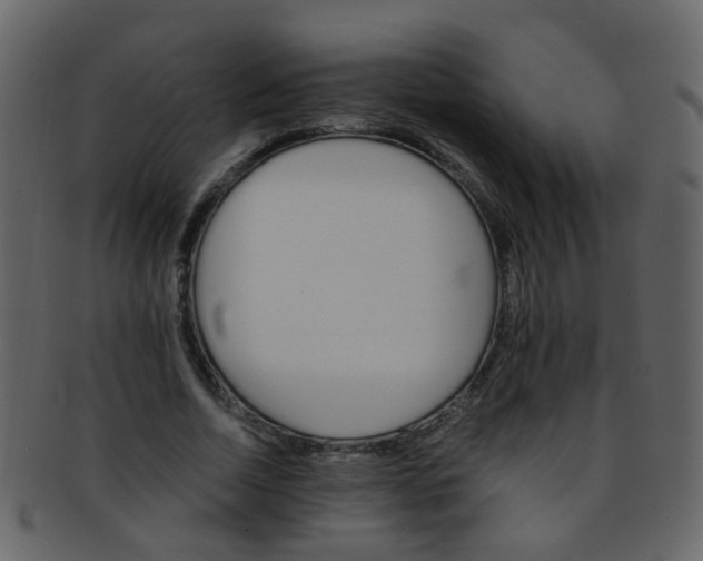 X0000093150730200710171350