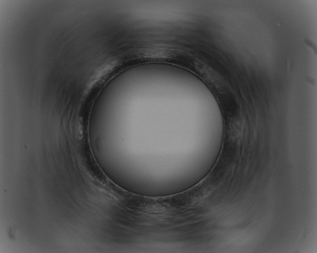 X0000093150731200710171350