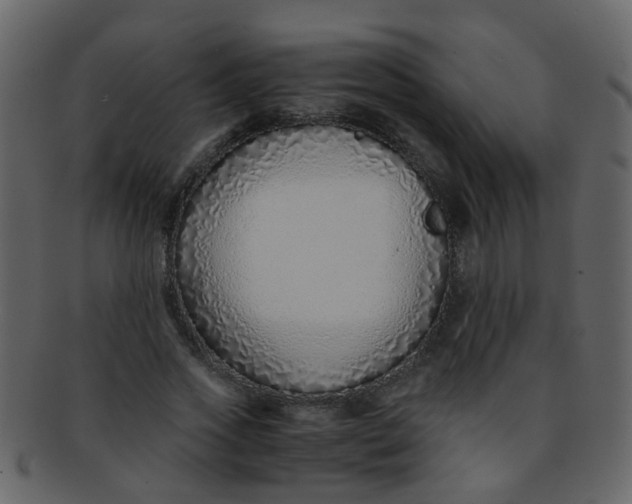 X0000093150733200710171350