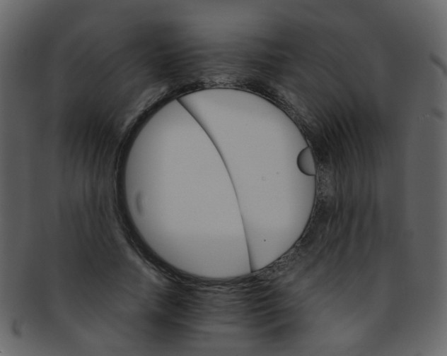 X0000093150738200710171350