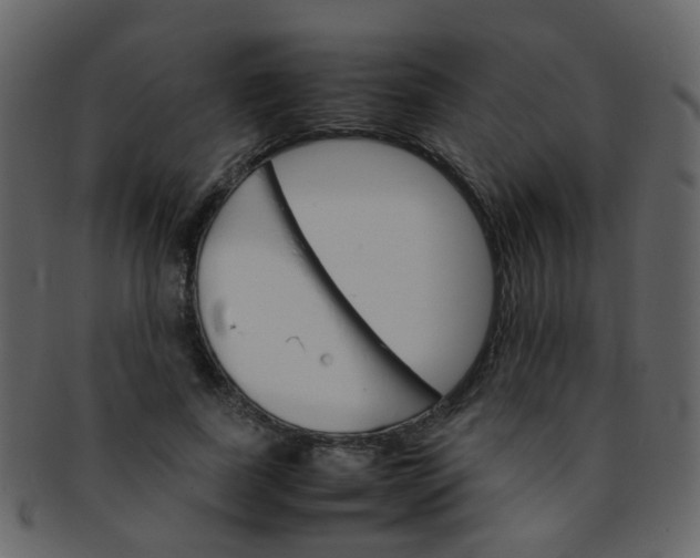 X0000093150739200710171350